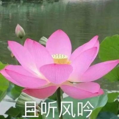 【境内疫情观察】河南新增102例本土病例（1月17日）